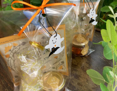 <?php the_title(); ?>