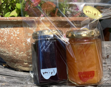 <?php the_title(); ?>