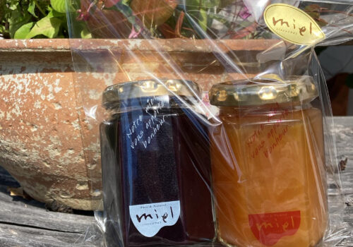 <?php the_title(); ?>