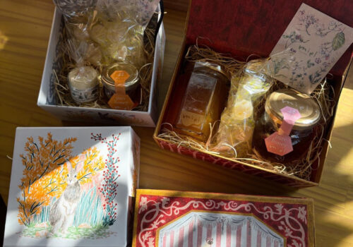 <?php the_title(); ?>