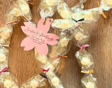 <?php the_title(); ?>