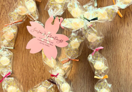 <?php the_title(); ?>